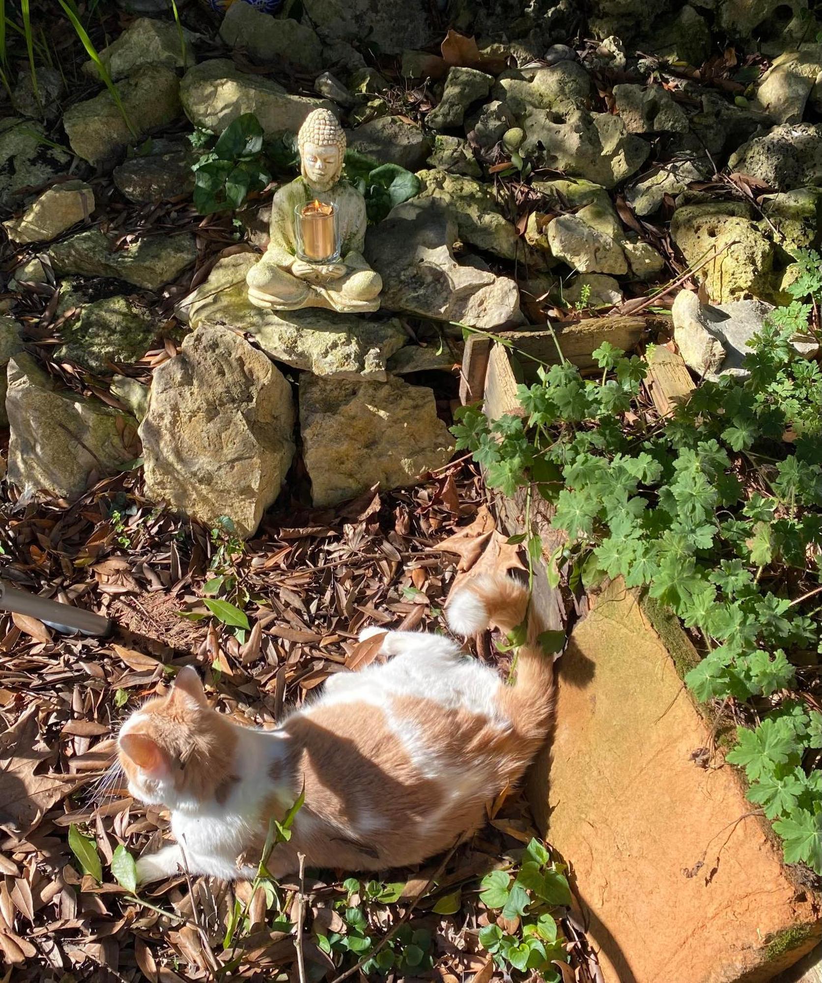 穆瓦萨克Au Jardin住宿加早餐旅馆 外观 照片